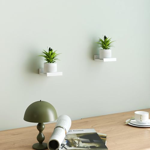 Small White Floating Shelves for Wall Decor, Wall Mounted Wood Shelf for Bedroom, Living Room, Bathroom, Kitchen, Nursery, Mini Display Ledge Shelf with Lip Set of 2-4 Inches, White - color: White, size: 3.9in