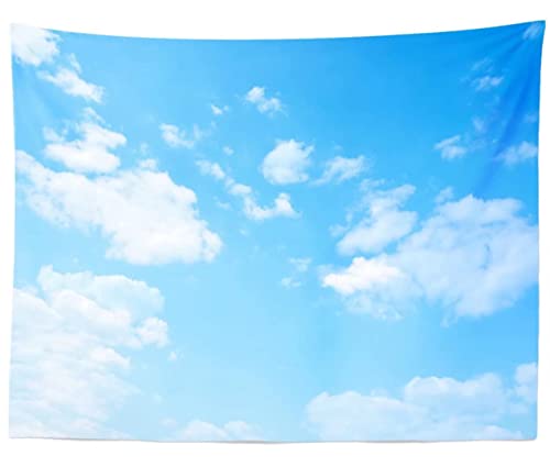 BELECO Light Blue Sky Tapestry Backdrop 60x40 Inch Sky Clouds Tapestries Ceiling Wall Bedroom Living Room Dorm Home Decor - size: 60"L x 40"W