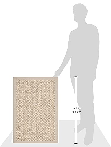 SAFAVIEH Area Rug 2x3 - Natural Fiber Collection - Marble, Sisal, Woven Design with Border (NF525C) - color: Marble, size: 2' x 3' (Rectangular)