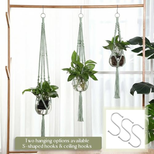 Colingmill 6 Pcs Plastic Plant Propagation with Boho Macrame Hanger Wall Plant Propagation Station Hanging Holder Include Hooks Kit for Indoor Home Garden Office Decor 3 Size (Sage Green) - color: Sage Green