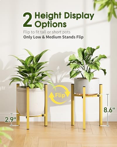 3 Pack Plant Stand Indoor Adjustable, Metal Modern Indoor Plant Stand, Heavy Duty Single Plant Stands Outdoor Corner, Stable Plant Holder Indoor Stand, Fits 8 to 12 Inches Pots, Gold - color: Gold, size: 3 Pack