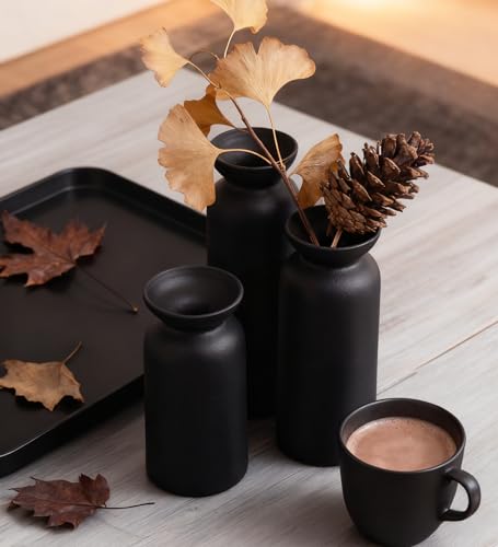 Black Ceramic Vase Set of 3 Small Boho Modern Room Decor for Home Decor Farmhouse Centerpiece Table Decorations - color: Black-vt12