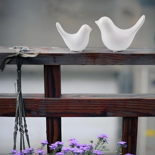Notakia Small White Birds Statues Home Decor Modern Style Decorative Ornaments for Living Room Decor, Bedroom, Office Desktop, Cabinets (2Pcs White Birds) - color: 2pcs White Birds