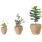 Vintiquewise Woven Round Flower Pot Planter Basket with Leak-Proof Plastic Lining- Set of 3 - size: Set of 3