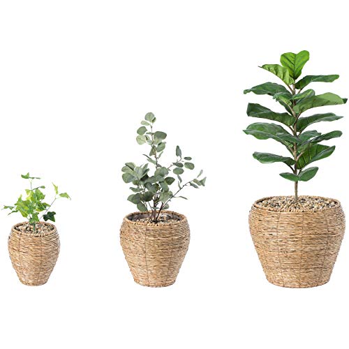 Vintiquewise Woven Round Flower Pot Planter Basket with Leak-Proof Plastic Lining- Set of 3 - size: Set of 3
