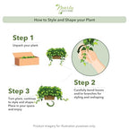 Nearly Natural 34in Artificial Pothos Ivy Plant with Ledge Basket Faux Trailing Cascading Greenery for Indoor Home Decor