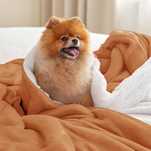 Bedsure GentleSoft Sherpa Fleece Throw Blanket for Couch, Non-Heated, Thick and Warm Throw for Women and Men, Soft Fuzzy Plush Blanket for Winter, Burnt Orange, 50x60 Inches - color: 09- Burnt Orange, size: Throw (50" X 60")