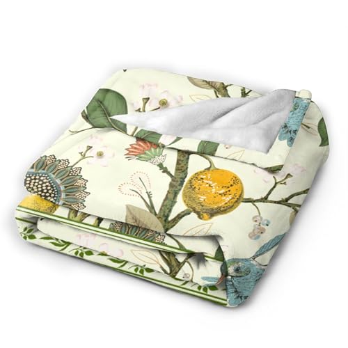 Lemon Throw Blanket for Couch Chair Sofa Bed, Flannel Soft Watercolor Summer Fruits Paisley Floral Bird Vintage Blanket for Bedroom Living Room Car, Warm Cozy Blankets for All Season 30"x 40" - color: Lemon07, size: 30X40 inch