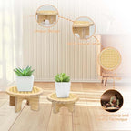 Small Plant Stand Set - 5" & 6" Display Shelf with Rattan Decor, Rustic Wooden Riser for Indoor Plants, Home Office Desk, Window Sill Decor