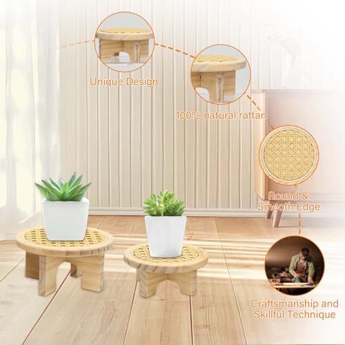 Small Plant Stand Set - 5" & 6" Display Shelf with Rattan Decor, Rustic Wooden Riser for Indoor Plants, Home Office Desk, Window Sill Decor