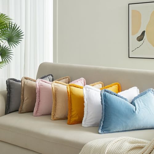 JUSPURBET Champagne Decorative Lumbar Velvet Fringe Throw Pillow Covers 12x20 Set of 2 Boho Soft Cushion Case for Home Decor Living Room Couch Sofa Bed - color: Champagne, size: 20" x 12" (Pack of 2)