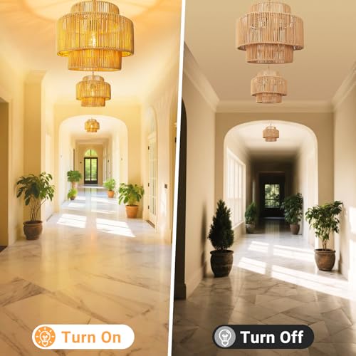 Hanging Light Ceiling Lamp Pendant Lights Rattan Hanging Lamp with Plug in Cord for Living Room Bedroom Kitchen Indoor Hanging Lamp Plug in Woven Lampshade - size: 12 Inch-Lantern Shade