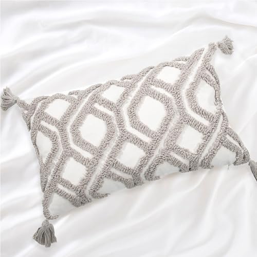 Boho Pillow Covers 12X20 Inch Boho Tufted Throw Pillow Covers Decorative Tassels Cushion Cover Farmhouse Pillow Case for Couch Sofa Bed Living Room Bedroom, Taupe - color: Boho Taupe, size: 20" x 12" (Pack of 1)
