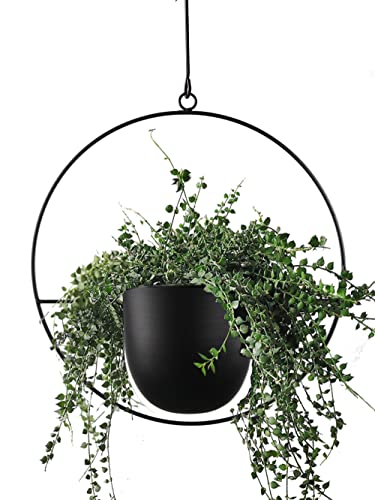 Hanging Planter for Indoor Outdoor Plants Metal Mid Century Minimalist Wall Ceiling Plant Hanger, Hanging Flower Pot Basket Holder for Home Office Décor(Black) - color: Black, size: 1PC