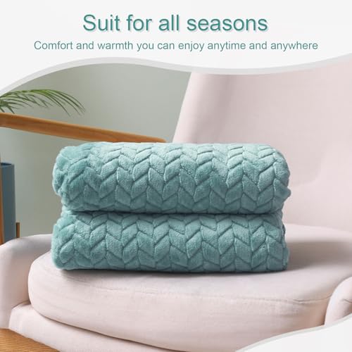 Exclusivo Mezcla Fleece Throw Blanket for Couch and Bed, 50x70 Inches Soft Cozy Jacquard Flannel Blankets, Lightweight Fuzzy Plush Throws for Women, Celadon - color: Celadon, size: Throw ( 50x70 IN )