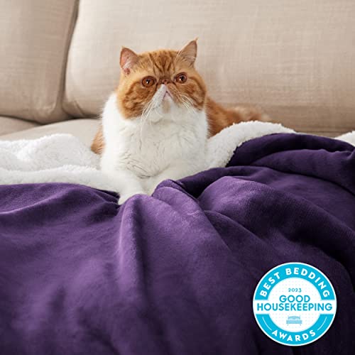 Bedsure GentleSoft Sherpa Fleece Throw Blanket for Couch, Non-Heated, Thick and Warm Throw Gifts for Women and Girls, Soft Fuzzy Plush Blanket for Winter, Purple, 50x60 Inches - color: 08 - Purple, size: Throw (50" X 60")