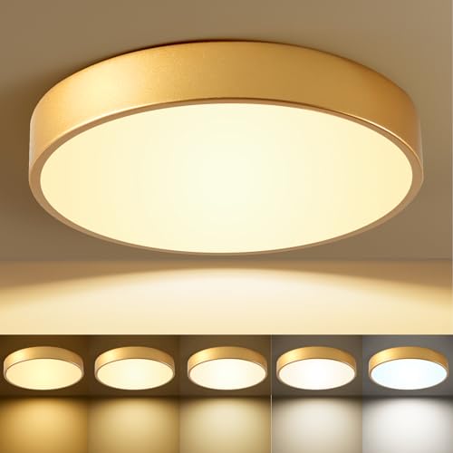 Flush Mount Ceiling Light Gold 12 Inch LED Dimmable Ceiling Light 24W 5CCT(2700K-5000K) Bedroom Lamp Entryway for Bedroom Foyer Kitchen Entryway Closet Hallway - color: Gold