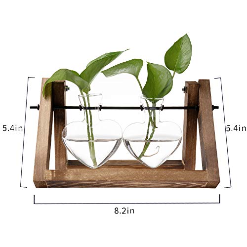 Kingbuy Glass Desktop Planter with Retro Wooden Stand and Plant Terrarium Vase (2 Hearts) for Indoor Home Office Desk Decor Accessories - size: Heart 2 Bulb