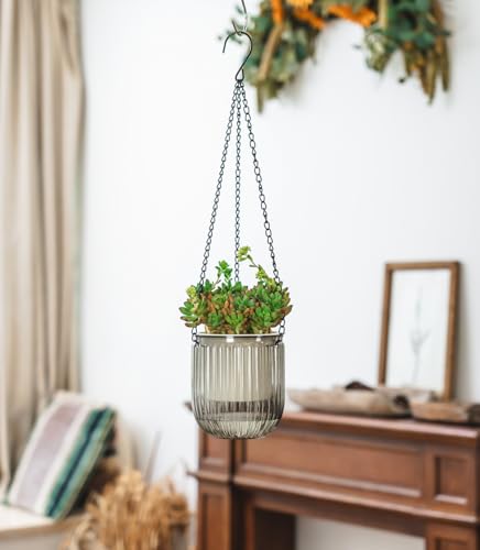 Josteve 4.5 Inch 2 Pcs Self Watering Hanging Planter Indoor Plant Pots Drainage Holes, Outdoor Small Hanging Planters Flower Pot Basket, Visible Water Level, Plant Hanger Home Decor, Gardening - color: Gray, size: 2*4.5 inch