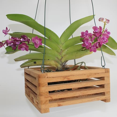 Set of 2 Wooden Orchid Baskets with Hangers, Hanging Vanda Baskets for Outside - size: Set of 2