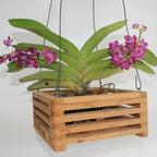 Set of 2 Wooden Orchid Baskets with Hangers, Hanging Vanda Baskets for Outside - size: Set of 2