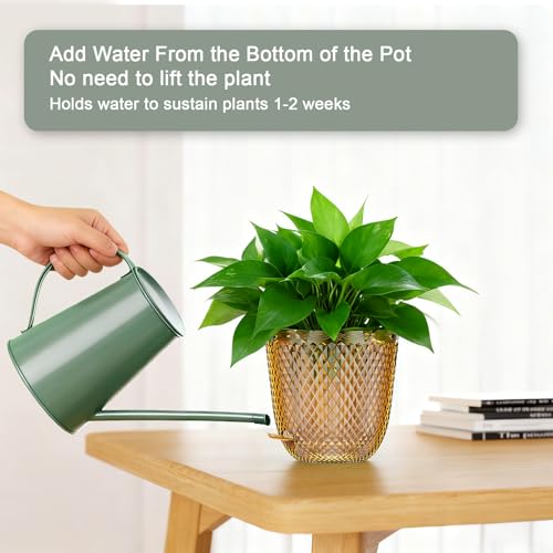 QCQHDU Hanging Planters for Indoor Plants, 2-Pack, 5.7 Inch, Gold | Plastic, Self Watering Plant Hanger, with Drainage Holes, 3 Hooks Chains, For Garden Home - color: Gold, size: 5.7in