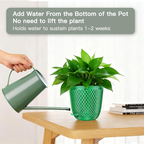 QCQHDU Hanging Planters for Indoor Plants, 2-Pack, 5.7 Inch, Emerald | Plastic, Self Watering Plant Hanger, with Drainage Holes, 3 Hooks Chains, For Garden Home - color: Emerald, size: 5.7in