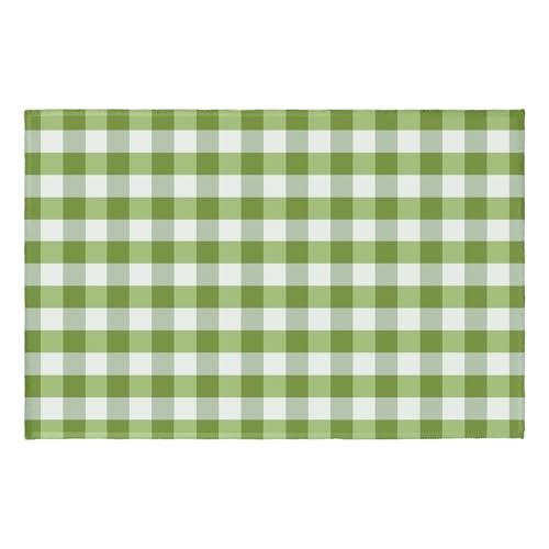 Green and White Buffalo Plaid Area Rug 2x3 Spring Summer Check Farmhouse Front Door Mat Small Non-Slip Low Pile Doormat Washable Indoor Outdoor Entryway Rugs for Living Room Bedroom Home Decor - color: Buffalo Plaid Green and White