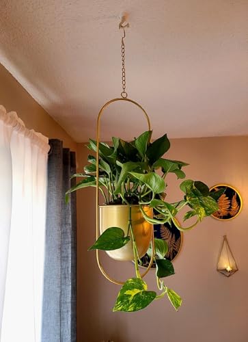 Shineloha 2 Pack Hanging Planters for Indoor Plants with 5.5" Pot + Ceiling Hook | Gold Hanging Planter, Gold Plant Hanger, NO Plant incld - color: Gold, size: Large