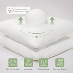 Ashler Throw Pillows Insert- 20x20 Pillow Inserts with Air Layer, Premium Bed and Couch Pillows - Indoor Decorative Throw Pillow, Square Cushion Sham Stuffer, Pack of 2, White - size: 20x20 Inch
