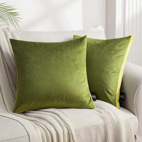 Phantoscope Pack of 2 Velvet Throw Pillow Covers, Decorative Soft Velvet Pillows Accent Double-Sided Gusseted Design, Square Cushion Case for Couch Sofa Bed, Green, 18 x 18 inches 45 x 45 cm - color: Light Green