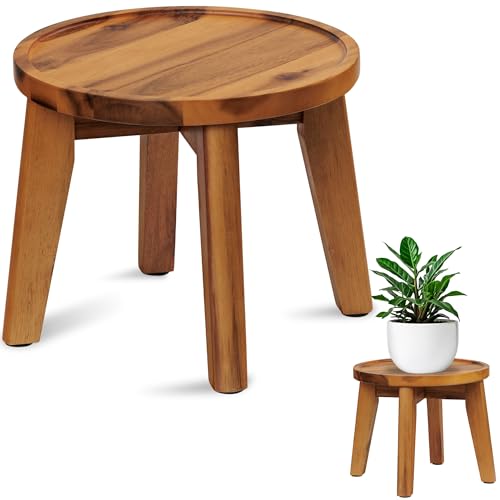 Demigo Indoor Plant Stand, Acacia Wooden Decorative Plant Shelf with Spill-Proof Tray, Stable 8” Tall Flower Holder for Heavy Pots, Gardening Display for Decor Living Room Patio - Natural Brown - color: Natural Acacia, size: Medium