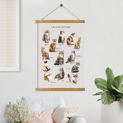 ABoby Vintage Cat Breeds Chart Posters - Pet Wall Art for Homes and Offices - Retro Style Painting with Wood Frames - Ready to Hang - color: Cat