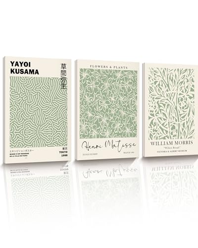 HesenDot Green Botanical Framed Wall Art Set, 12x16in Matisse William Morris Canvas Prints,Minimalist Classic Plants Home Decor for Living Room Bedroom Bathroom Office, Set of 3 - color: Green Wall Art-Framed, size: 16"L x 12"W