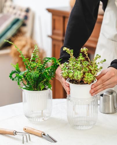 Josteve 4.5 Inch 2 Pcs Self Watering Hanging Planter Indoor Plant Pots Drainage Holes, Outdoor Small Hanging Planters Flower Pot Basket, Visible Water Level, Plant Hanger Home Decor, Gardening - color: White, size: 2*4.5 inch
