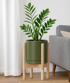 D'vine Dev Ceramic Planter with Natural Stand - 8 Inch Modern Round Flower Pot with Wood Planter Holder, Olive, 55-B-N-J - color: Olive Pot + Natural Stand, size: 8 Inch