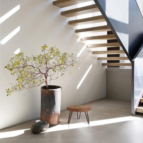 OBTAIN Plant Stand Indoor Outdoor Wood Mid Century Plant Stand for Indoor Plants, Modern Plant Table Round Plant Stool, Boho Rustic Wooden Stool for Plant Pot Hol (L) - color: Dark Brown, size: Large