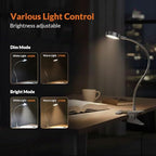 LEPOWER Clip on Light/Reading Light/Book Lights/Desk Lamp Color Changeable/Night Lights Clip on for Desk, Bed Headboard and Computers, Adapter Included, Silver - color: Silver