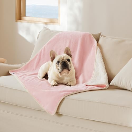 Bedsure Cat Blanket for Indoor Cats - Waterproof Calming Cat Blankets for Couch Protection, Sherpa Fleece Pet Blanket, Soft Plush Reversible Throw Furniture Protector, 40"x30", Pink - color: Azalea Pink, size: M(30x40")
