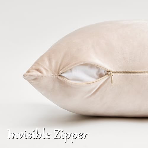 GIGIZAZA 16x16 Beige Pillow Covers: Pack of 2 Champagne Vintage Throw Pillows Super Soft Velvet Covers - Decorative Elegant Square Small Solid Cushion Covers Used for Couch,Living Room,Bedroom - color: Champagne, size: 16" x 16" (Pack of 2)
