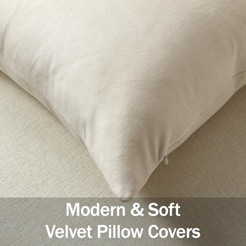DEZENE Euro Sham Covers 24x24 Cream: Pack of 2 Cozy Soft Velvet Square Modern Luxury Decorative Throw Pillow Cases for Sofa Couch Living Room Bed Home Decor - color: Vanilla Ice, size: 24" x 24" (Pack of 2)