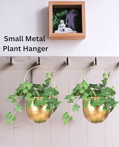 Shineloha 2 Pack Metal Hanging Planters for Indoor Outdoor, with 5.5 Pot, Gold Hanging Planters | Gold Plant Hanger, Brass Plant Hangers. NO Plant incld (Small, 2 Packs) - color: Gold, size: Medium