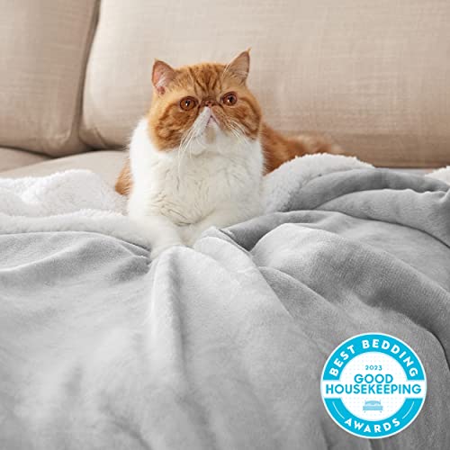 Bedsure GentleSoft Sherpa Fleece Throw Blanket for Couch, Non-Heated, Thick and Warm Throw for Women and Men, Soft Fuzzy Plush Blanket for Winter, Light Grey, 50x60 Inches - color: 02 - Light Grey, size: Throw (50" X 60")