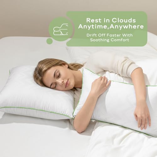 Ashler 28x28 Pillows Insert (Set of 2) - Throw Pillow Inserts with 100% Cotton Cover - 28 Inch Square Interior Sofa Stuffer Pillow Inserts -Decorative White Couch Pillow - size: 28x28 Inch