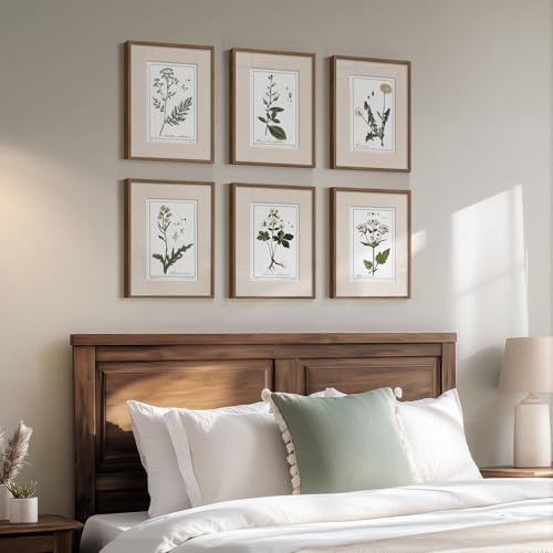 Framed Vintage Botanical Wall Art, 6 Piece Rustic Floral Canvas Painting Prints Artwork for Kitchen Walls, Neutral Flower Pictures for Living Room Bedroom Dining Room Farmhouse Wall Decor, 11x14 - color: Herbarium - Walnut Framed, size: 11" W x 14" H x 6P
