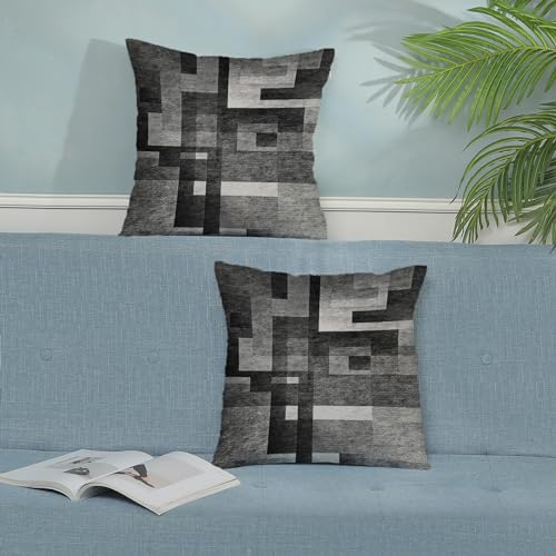 BETGINY Black White Grey Pillow Covers 22x22, Abstract Art Outdoor Decorative Throw Pillows for Couch, Modern Geometry Decor Cushion Cover 2 Pcs Soft Farmhouse Square Pillowcase for Bed Car Safa - color: Black, size: 22" x 22" (Pack of 2)