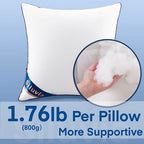 Siluvia 20"x20" Pillow Inserts Set of 2 Decorative Square Square Throw 20 Pillows with 100% Cotton Cover for Sofa, Couch, and Bed - White - size: 20x20 Inch (Pack of 2)