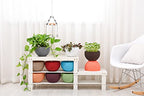 Hanging Basket Plastic Flower Pot Round Resin Garden Hanging Planter for Indoor Outdoor Plants 2 Pack Brown - color: 8 Inch Brown