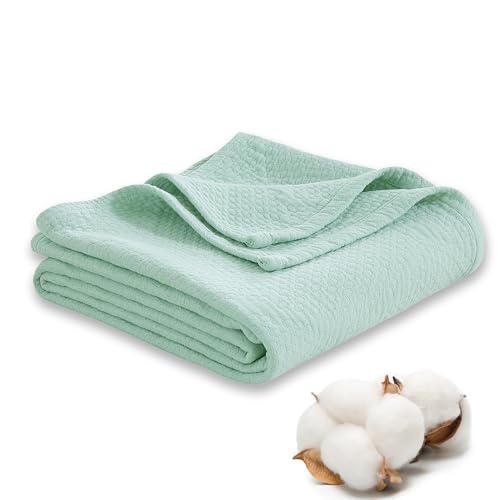 Premium 100% Cotton Blanket – All-Season Soft Breathable Bed Blanket for Queen Size – Lightweight Stylish Textured Throw for Bed– Giftable Cozy Bedding - color: Light Green, size: Queen(80" x 90")