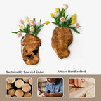JOLLYMER 2-Pack Cedar Wood Live Edge Wall Vases – Natural Edge Hanging Flower Vase, Organic Root Carved, Rustic Home Décor, Handcrafted Wall Mounted Wooden Vase (Flowers Not Included)